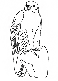 Vögel Malvorlagen - Seite 116