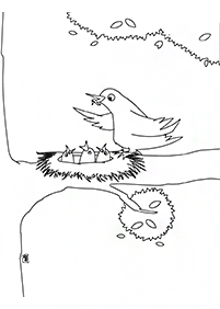 Vögel Malvorlagen - Seite 137