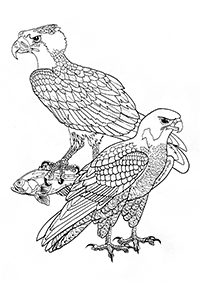 Vögel Malvorlagen - Seite 16