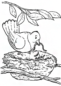 Vögel Malvorlagen - Seite 24
