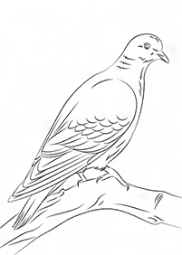 Vögel Malvorlagen - Seite 29