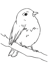 Vögel Malvorlagen - Seite 35