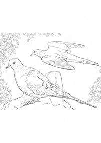 Vögel Malvorlagen - Seite 37