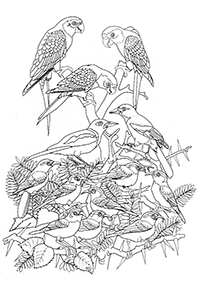 Vögel Malvorlagen - Seite 48