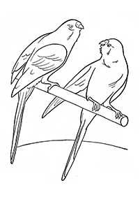 Vögel Malvorlagen - Seite 52