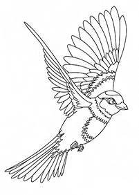 Vögel Malvorlagen - Seite 55