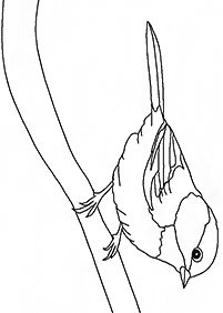 Vögel Malvorlagen - Seite 6