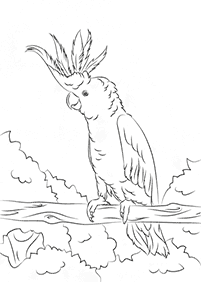 Vögel Malvorlagen - Seite 61