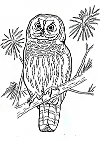Vögel Malvorlagen - Seite 64