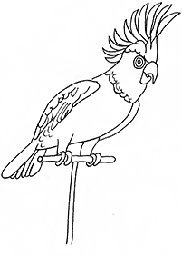 Vögel Malvorlagen - Seite 66