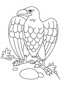 Vögel Malvorlagen - Seite 7