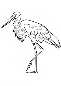 Vögel Malvorlagen - Seite 70