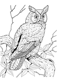 Vögel Malvorlagen - Seite 85