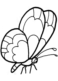 Páginas para colorear de mariposas - página 57