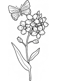 Páginas para colorear de mariposas - página 65