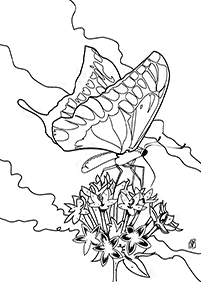 Páginas para colorear de mariposas - página 70