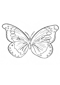 Páginas para colorear de mariposas - página 75