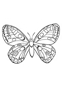 Páginas para colorear de mariposas - página 79