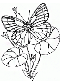 Páginas para colorear de mariposas - página 86