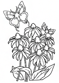 Páginas para colorear de mariposas - página 87