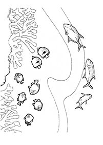 Páginas para colorear de peces - página 56