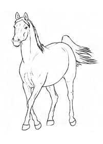 Páginas para colorear de caballos - página 16