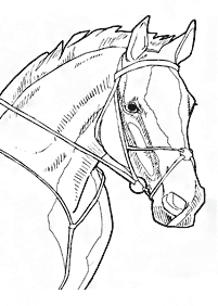 Páginas para colorear de caballos - página 40