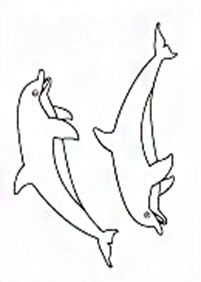 Páginas para colorear de delfines - página 19
