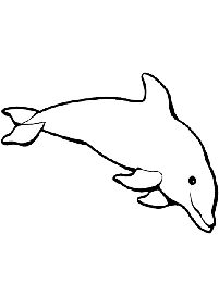 Páginas para colorear de delfines - página 25