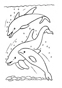 Páginas para colorear de delfines - página 4