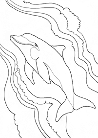 Páginas para colorear de delfines - página 5