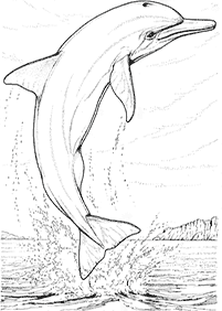 Páginas para colorear de delfines - página 9
