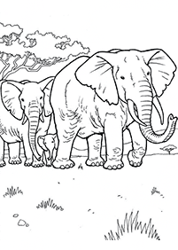 Páginas para colorear de elefantes - página 10