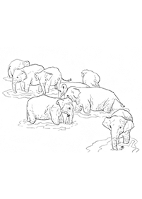 Páginas para colorear de elefantes - página 21