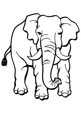 Páginas para colorear de elefantes