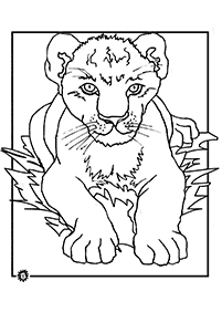 Páginas para colorear de leones - página 4
