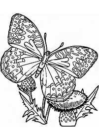 Páginas para colorear de mariposas - página 15
