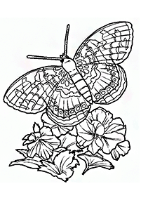Páginas para colorear de mariposas - página 23