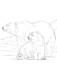 Páginas para colorear de osos - página 21