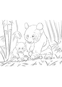 Páginas para colorear de osos - página 9