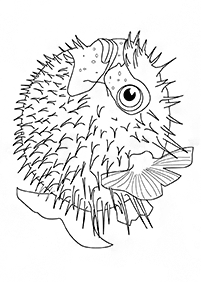 Páginas para colorear de peces - página 101