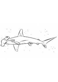 Páginas para colorear de peces - página 41