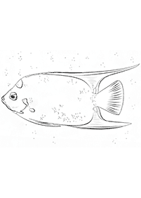 Páginas para colorear de peces - página 65