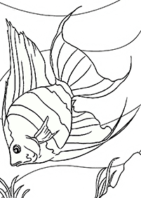 Páginas para colorear de peces - página 96