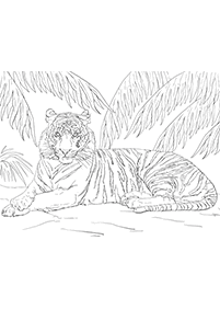 Páginas para colorear de tigres - página 1