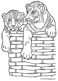 Páginas para colorear de tigres - página 27