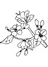 Páginas de primavera para colorear – Página 90