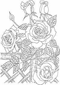Páginas de flores para colorear– Página 34