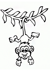बन्दर रंग पृष्ठ - पृष्ठ 79