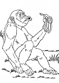 बन्दर रंग पृष्ठ - पृष्ठ 88